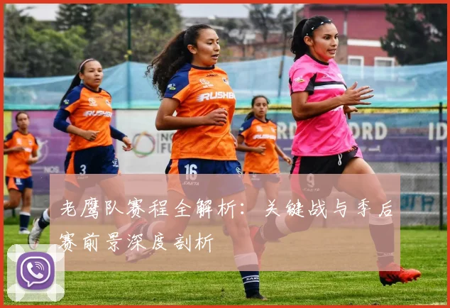 老鹰队赛程全解析：关键战与季后赛前景深度剖析