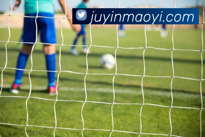 App Interface Preview